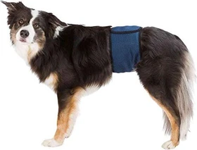 Trixie Windeln für Rüden, XL, waschbar