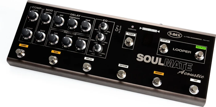 T-Rex Soulmate