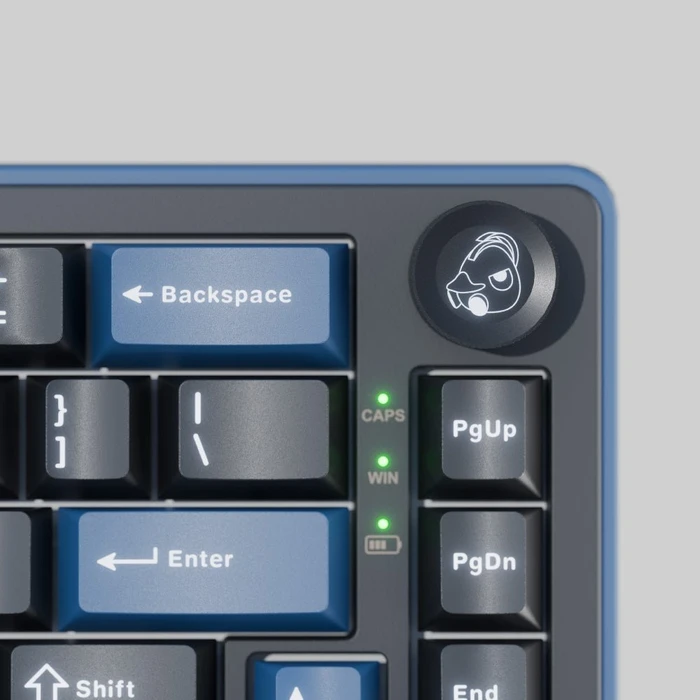 Ducky OK-M-75, Black and Blue, KKT Red Wine Linear, USB/Bluetooth, DE