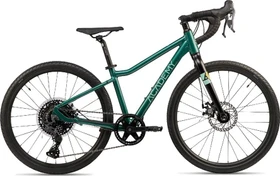 Academy Bikes Gravel 5 forest green