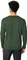 Vaude Essential Funktionsshirt langarm thyme (Herren) Vorschaubild
