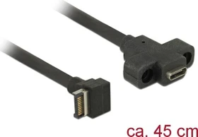 DeLOCK intern 20-Pin Key-A USB 3.1 auf USB-C 3.1 Konverter, Adapterkabel, 0.45m (85326)