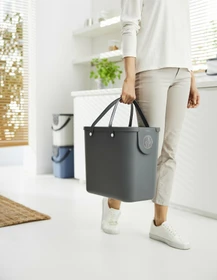 Rotho Albula 25l anthrazit