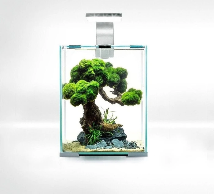 Aquael Day & Night 20 Aquarium-Set, schwarz, 19l