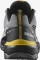 Salomon X Ultra 360 GTX castlerock/black/spicy mustard (Herren) Vorschaubild