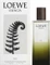 Loewe Esencia Elixir Eau de Parfum Vorschaubild