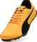 Puma evoSPEED Prep Sprint 3.5 sun stream/puma black/puma white Vorschaubild