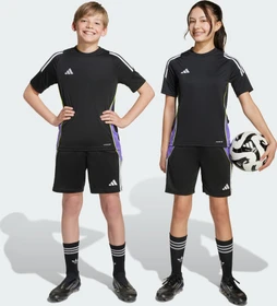 adidas Tiro 24 Trainingshose kurz black/purple rush (Junior)