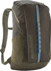Patagonia Black Hole Pack 25 basin green