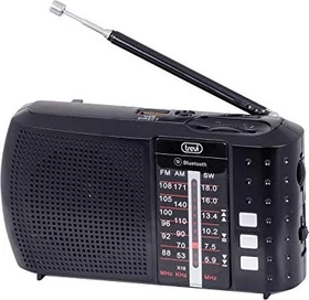 Trevi RA 7F20 BT schwarz