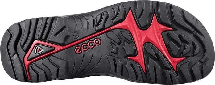 Ecco Offroad tarmac/moonrock (Herren)