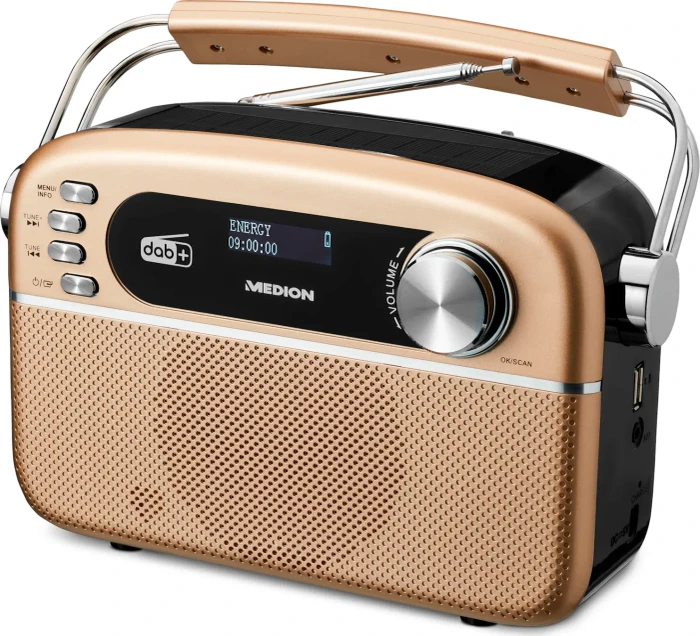 Medion Life E66809 gold