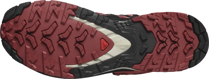 Salomon XA Pro 3D V9 GTX cow hide/black/faded rose (Damen)