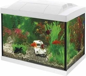 SuperFish Start 20 Goldfish Kit, weiß, 16l