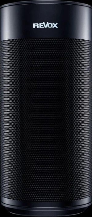 Revox Studioart P100 Room Speaker schwarz