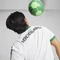 Puma Borussia Mönchengladbach 2024/2025 Heimtrikot (Herren) Vorschaubild