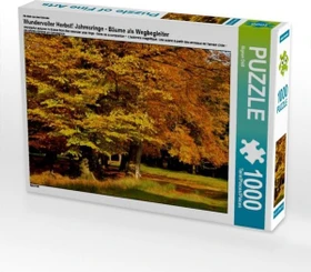 Calvendo Wundervoller Herbst! Ein Motiv aus dem Kalender Jahresringe - Bäume als Wegbegleiter