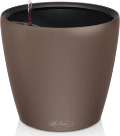 Lechuza Classico Color LS 28 muskat