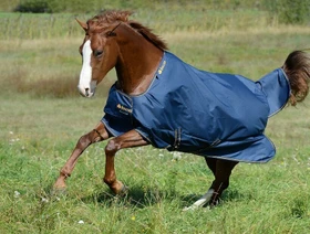 Kerbl Bucas Irish Turnout Light/50 Classic, Regendecke female, 1.65m, 50g, black/gold