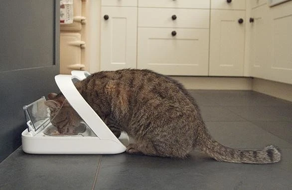 Sure Petcare SureFeed Microchip PetFeeder Futterautomat