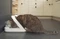 Sure Petcare SureFeed Microchip PetFeeder Futterautomat Vorschaubild