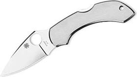 Spyderco Dragonfly Stainless Taschenmesser stainless steel