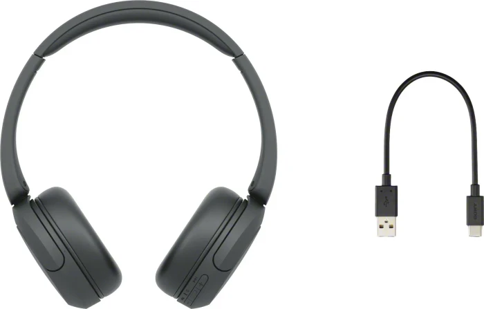 Sony WH-CH535 schwarz