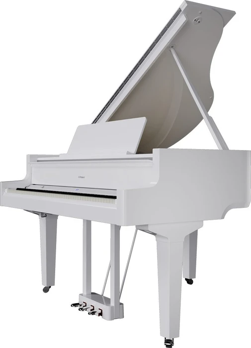 Roland GP-9 schwarz