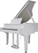 Roland GP-9 schwarz Vorschaubild