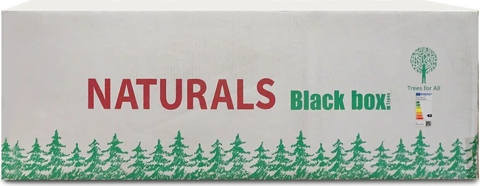 Black Box Trees Künstlicher Weihnachtsbaum Celtis mit Schnee, 155cm, inkl. LED-Beleuchtung