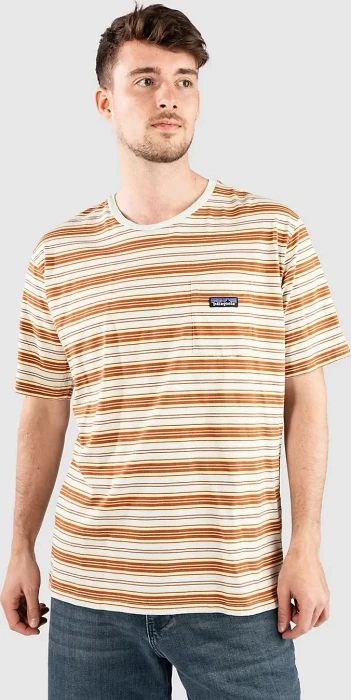 Patagonia Daily Pocket Tee T-Shirt kurzarm summer camp/rinsed green (Herren)