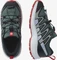 Salomon XA Pro 3D V8 stormy weather/zen blue/goji berry (Junior) Vorschaubild