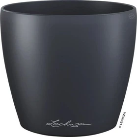 Lechuza Classico Color 12 schiefergrau