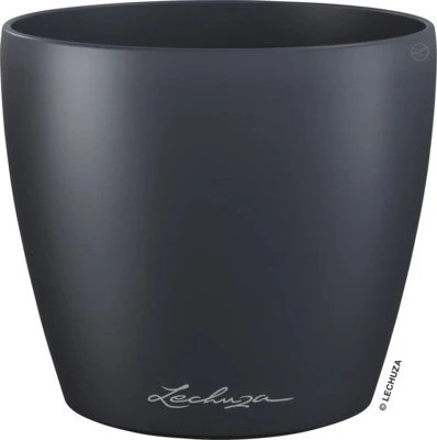 Lechuza Classico Color 12