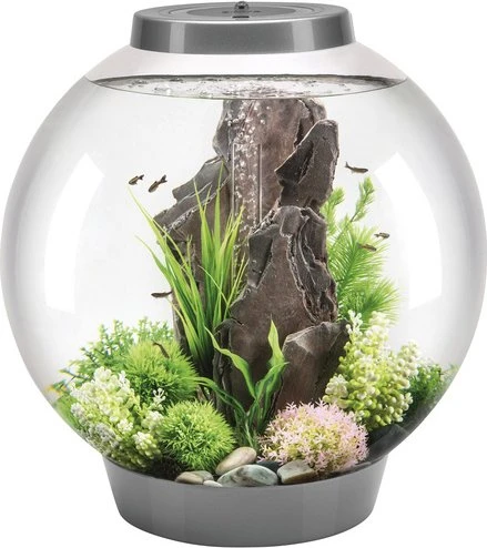 Oase biOrb Classic 60 LED Aquarium-Set, silber, 60l