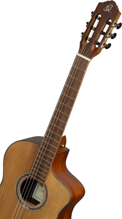 Ortega RCE23RO
