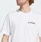 adidas Terrex Graphic T-Shirt kurzarm weiß (Herren) Vorschaubild