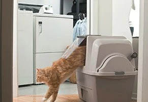 Catit SmartSift Katzentoilette mit Dach, beige