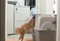 Catit SmartSift Katzentoilette mit Dach, beige Vorschaubild