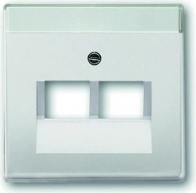 Busch-Jaeger Zentralscheibe 2-fach, edelstahl