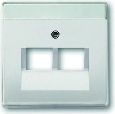 Busch-Jaeger Zentralscheibe 2-fach, edelstahl