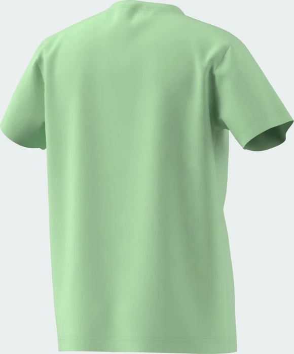 adidas Trefoil T-Shirt kurzarm semi green spark (Junior)
