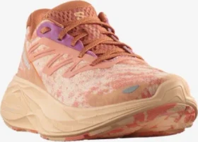 Salomon Aero Glide 2 spice route/peach quartz/fresh salmon (Damen)