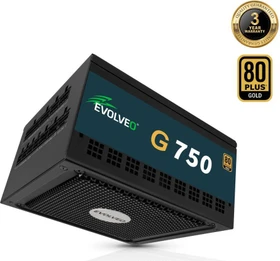 Evolveo Gold Series G750 schwarz 750W, ATX 3.1