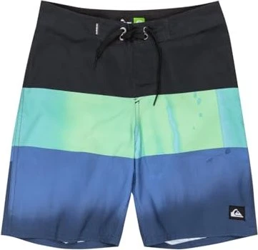 Quiksilver Everyday Panel 17" Badeshorts (Junior)