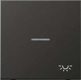 Jung Serie LS Wippe mit Lichtleiter Symbol Licht 1fach, anthrazit
