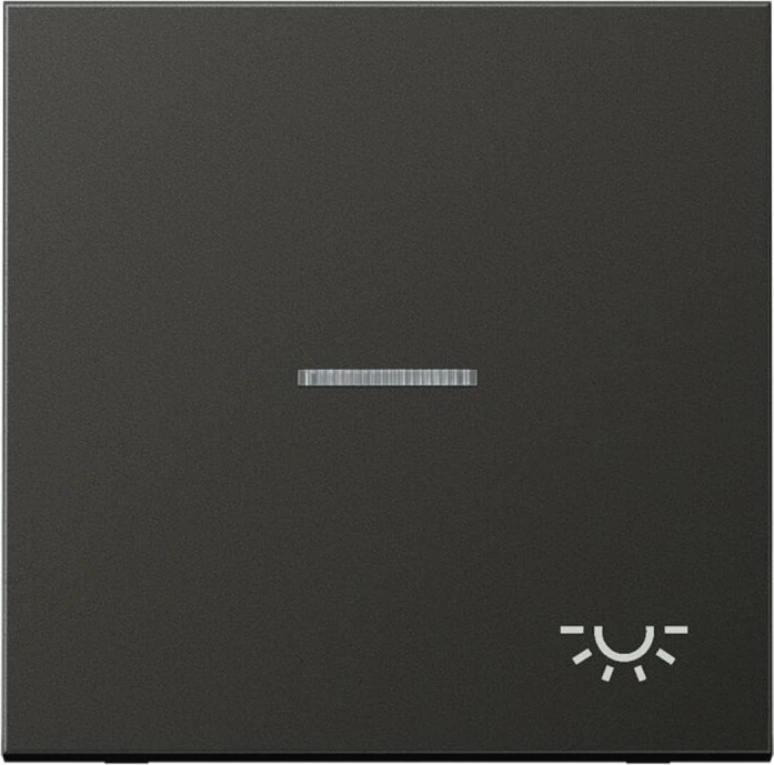 Jung Serie LS Wippe mit Lichtleiter Symbol Licht 1fach, anthrazit