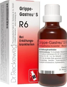 Dr.Reckeweg Grippe-Gastreu S R6 Tropfen, 22ml