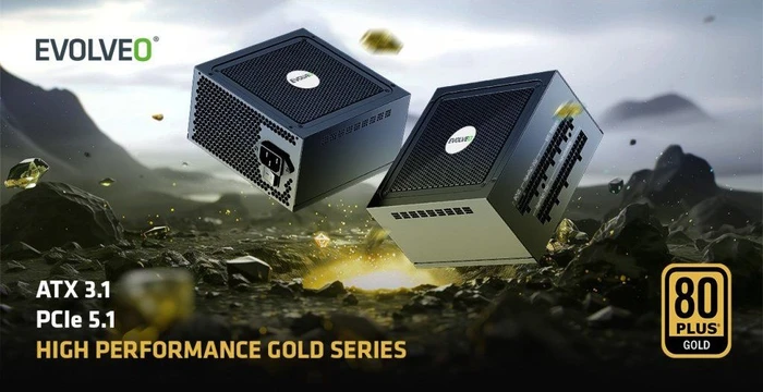 Evolveo Gold Series G650 schwarz 650W, ATX 3.1