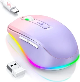 Seenda Rechargeable Wireless RGB Mouse mit Jiggler-Funktion, rosa/violett, USB (SEYC-JY203-PINKPURPLE)